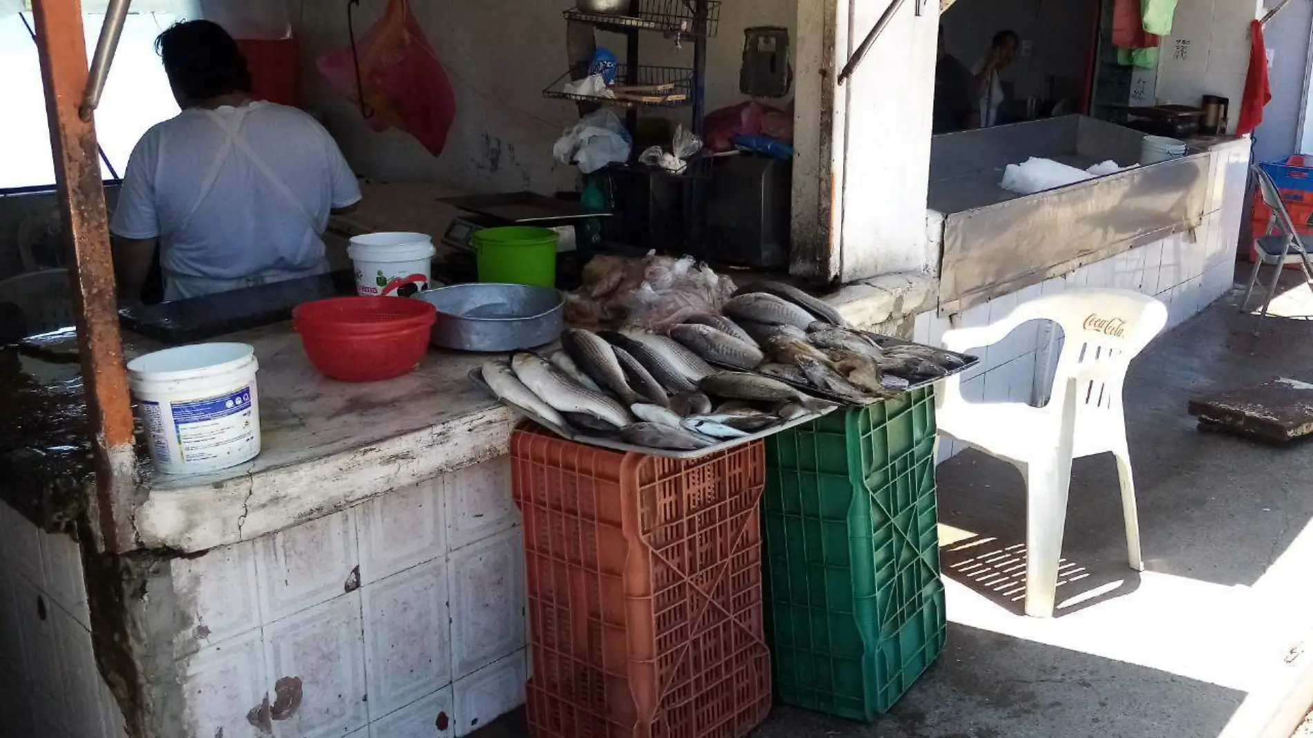 mercado de pescado 1